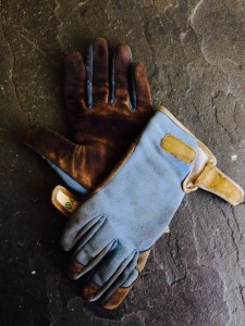 gloves